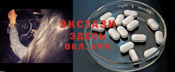 мет Алексин
