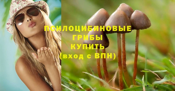 трава Армянск