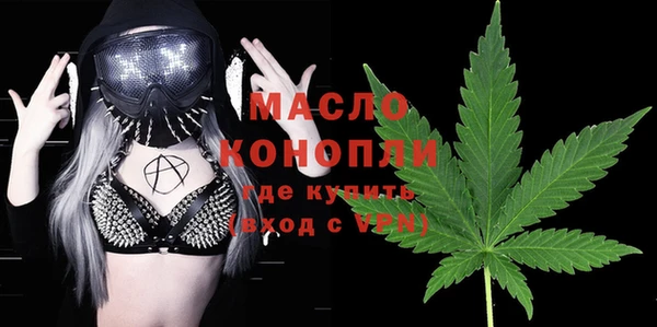 мет Алексин